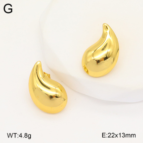 2E2005793avja-312  Stainless Steel Earrings