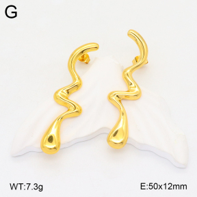 2E2005794avja-312  Stainless Steel Earrings