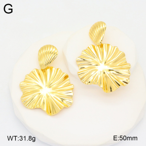 2E2005798bbov-212  Stainless Steel Earrings