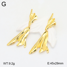 2E2005799vbnb-212  Stainless Steel Earrings
