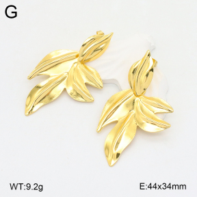 2E2005800bbov-212  Stainless Steel Earrings