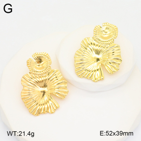2E2005801bbov-212  Stainless Steel Earrings