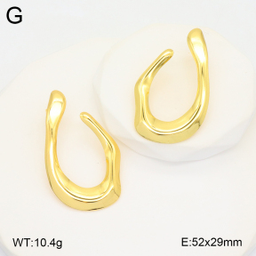 2E2005802vbnb-212  Stainless Steel Earrings