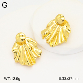 2E2005803vbnb-212  Stainless Steel Earrings