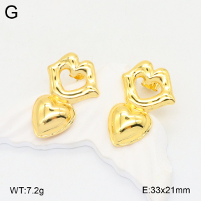 2E2005805vbnb-212  Stainless Steel Earrings