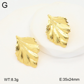 2E2005806vbmb-212  Stainless Steel Earrings