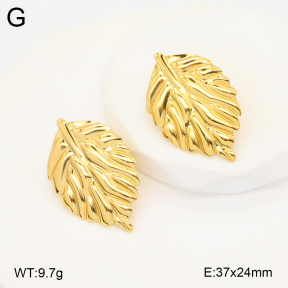2E2005807vbmb-212  Stainless Steel Earrings