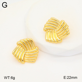 2E2005809vbmb-212  Stainless Steel Earrings