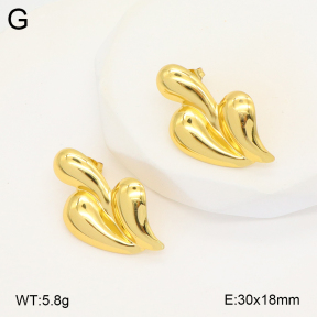 2E2005810vbmb-212  Stainless Steel Earrings