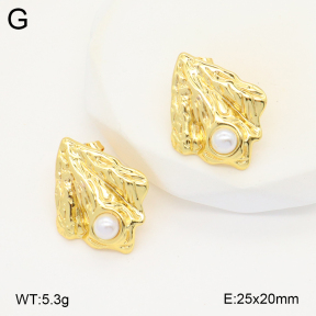 2E3003396vbmb-212  Stainless Steel Earrings