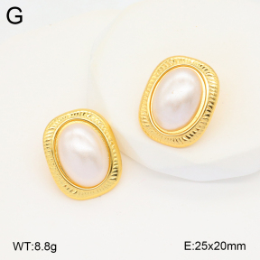 2E3003398vbnb-212  Stainless Steel Earrings