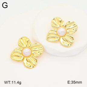 2E3003399vbmb-212  Stainless Steel Earrings