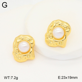 2E3003400vbmb-212  Stainless Steel Earrings
