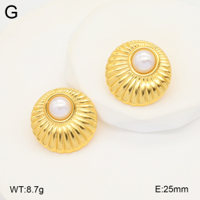 2E3003402vbnb-212  Stainless Steel Earrings