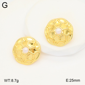 2E3003403vbnb-212  Stainless Steel Earrings