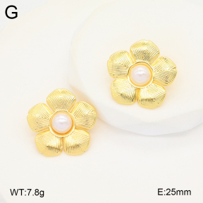 2E3003404vbnb-212  Stainless Steel Earrings