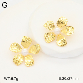 2E3003405vbnb-212  Stainless Steel Earrings