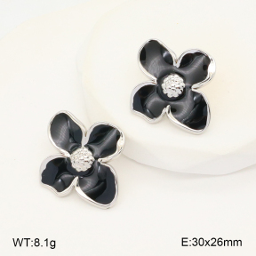 2E3003406vbmb-212  Stainless Steel Earrings