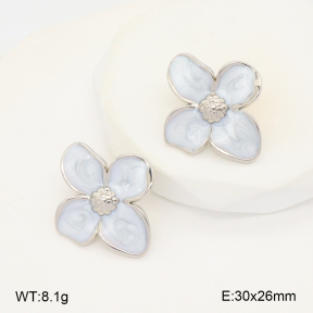 2E3003407vbmb-212  Stainless Steel Earrings