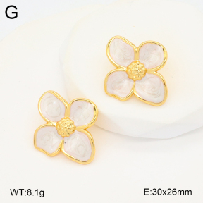 2E3003408vbnb-212  Stainless Steel Earrings