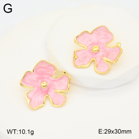 2E3003410vbnb-212  Stainless Steel Earrings
