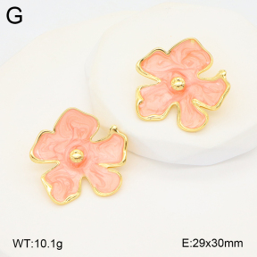 2E3003411vbnb-212  Stainless Steel Earrings