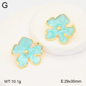 2E3003412vbnb-212  Stainless Steel Earrings