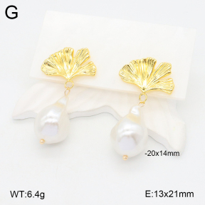 2E3003413vbnb-212  Stainless Steel Earrings
