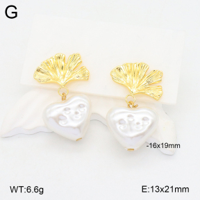 2E3003414vbnb-212  Stainless Steel Earrings