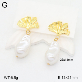 2E3003415vbnb-212  Stainless Steel Earrings