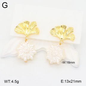 2E3003416vbnb-212  Stainless Steel Earrings