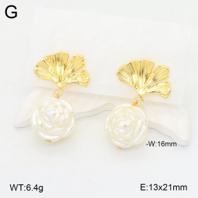 2E3003417vbnb-212  Stainless Steel Earrings