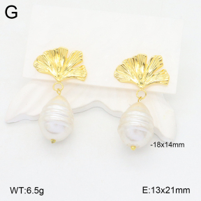 2E3003418vbnb-212  Stainless Steel Earrings