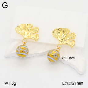 2E3003419vbnb-212  Stainless Steel Earrings