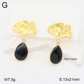 2E3003420vbnb-212  Stainless Steel Earrings