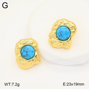2E4004270vbnb-212  Stainless Steel Earrings