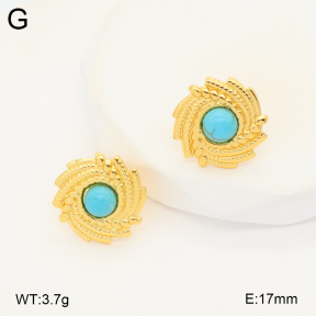 2E4004272vbnb-212  Stainless Steel Earrings