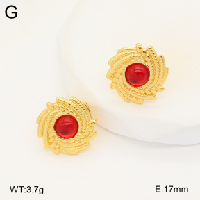 2E4004273vbnb-212  Stainless Steel Earrings