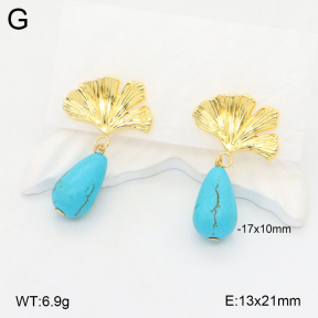 2E4004274vbnb-212  Stainless Steel Earrings