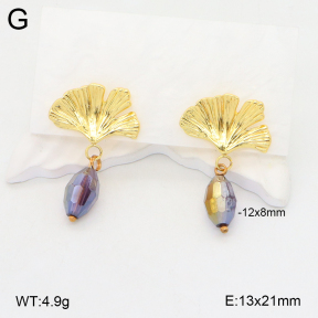 2E4004275vbnb-212  Stainless Steel Earrings