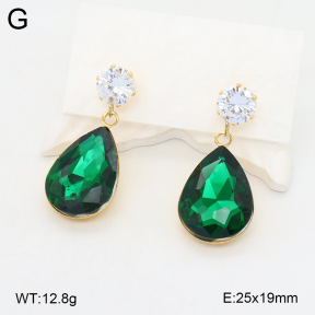 2E4004276bbov-212  Stainless Steel Earrings