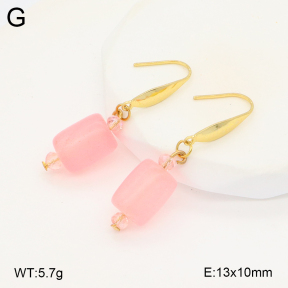 2E4004277ablb-212  Stainless Steel Earrings