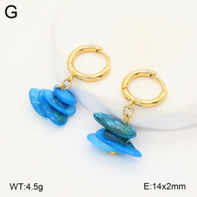2E4004278avja-212  Stainless Steel Earrings