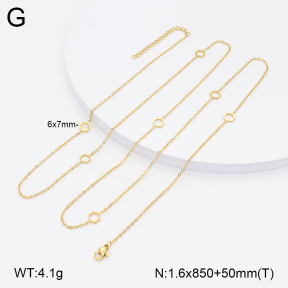 2N2005663bhia-312  Stainless Steel Necklace