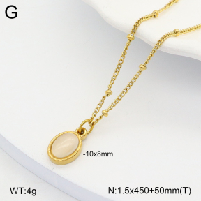 2N4004129vbmb-368  Stainless Steel Necklace