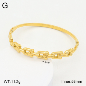 2BA201975vhha-355  Stainless Steel Bangle