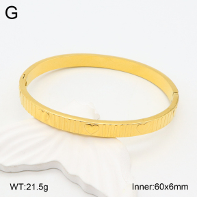 2BA201976vhha-355  Stainless Steel Bangle