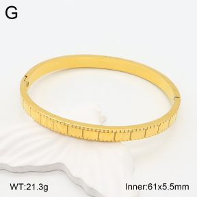 2BA201977vhha-355  Stainless Steel Bangle