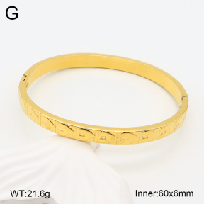 2BA201978vhha-355  Stainless Steel Bangle