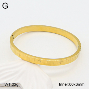 2BA201979vhha-355  Stainless Steel Bangle